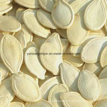 Shine Skin Pumpkin Seeds Factory Price